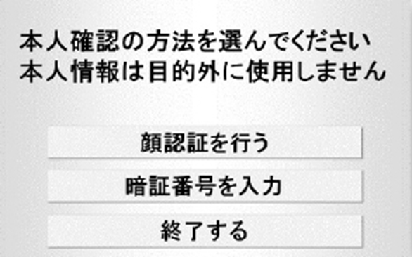 仮入力