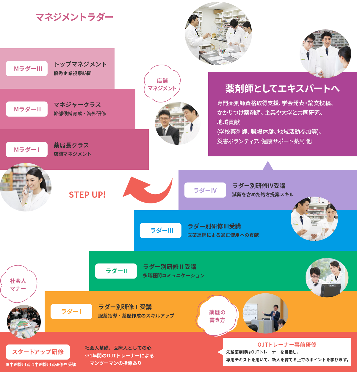 「マネジメントラダー」Mラダー3：優秀企業視察訪問。Mラダー2：幹部候補育成・海外研修。Mラダー1：店頭マネジメント。　「薬剤師としてエキスパートへ。専門薬剤資格取得支援制度、学会発表・論文投稿、かかりつけ薬剤師、企業や大学と共同研究、地域貢献（学校薬剤師、職場体験、地域活動参加者等）、災害ボランティア、健康サポート薬局 他」ラダー4：減薬を含めた処方薬スキル。ラダー3：医薬連携による適正使用への貢献。ラダー2：多職種間コミュニケーション。ラダー1：服薬指導・薬歴作成のスキルアップ。スタートアップ研修：社会人基礎、医療人としての心※1年間のOJTトレーナーによる指導（OJTトレーナーを目指し、専用テキストを用いて新人を育てる上でのポイントを学びます。）